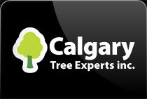 Calgary Tree Expert